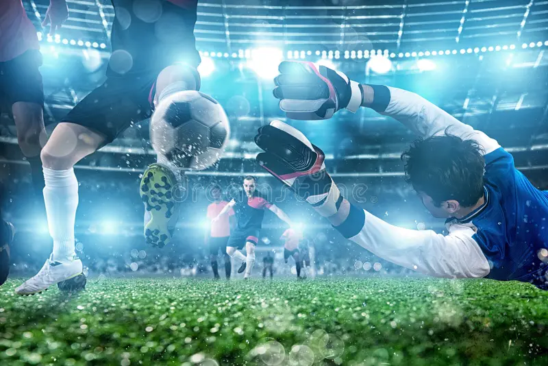 MK体育（中国）官方网站-MKSPORT